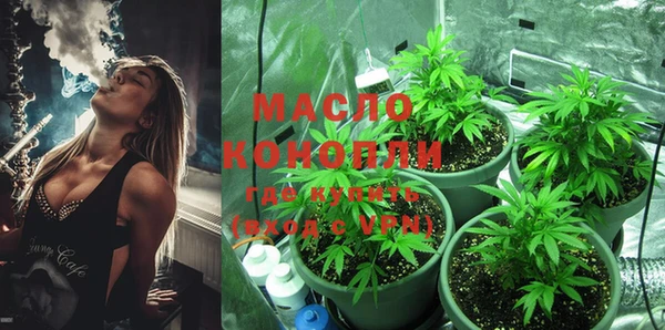 спиды Богородицк