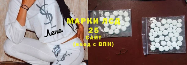 прущие грибы Беломорск