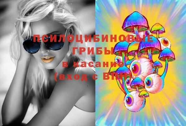 прущие грибы Беломорск
