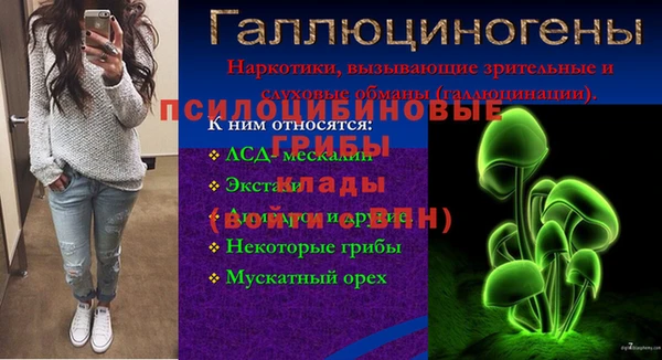спиды Богородицк