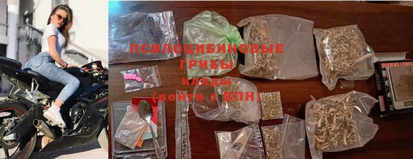прущие грибы Беломорск