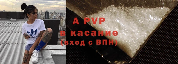 спиды Богородицк