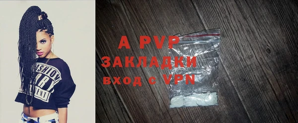 прущие грибы Беломорск