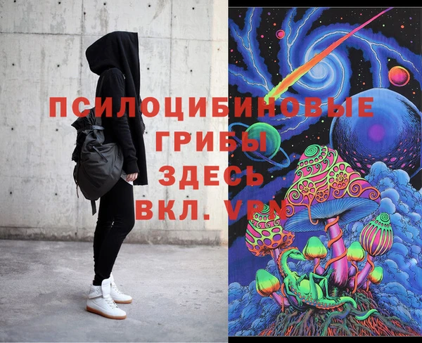 гашик Белокуриха