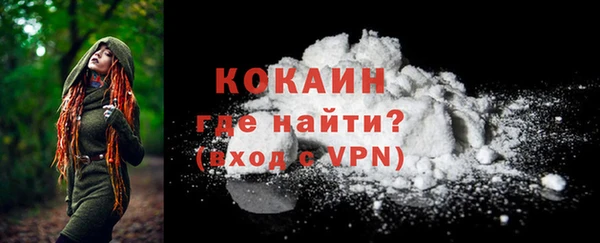 спиды Богородицк