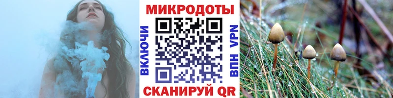 Псилоцибиновые грибы Magic Shrooms  купить наркотики сайты  Боровичи 